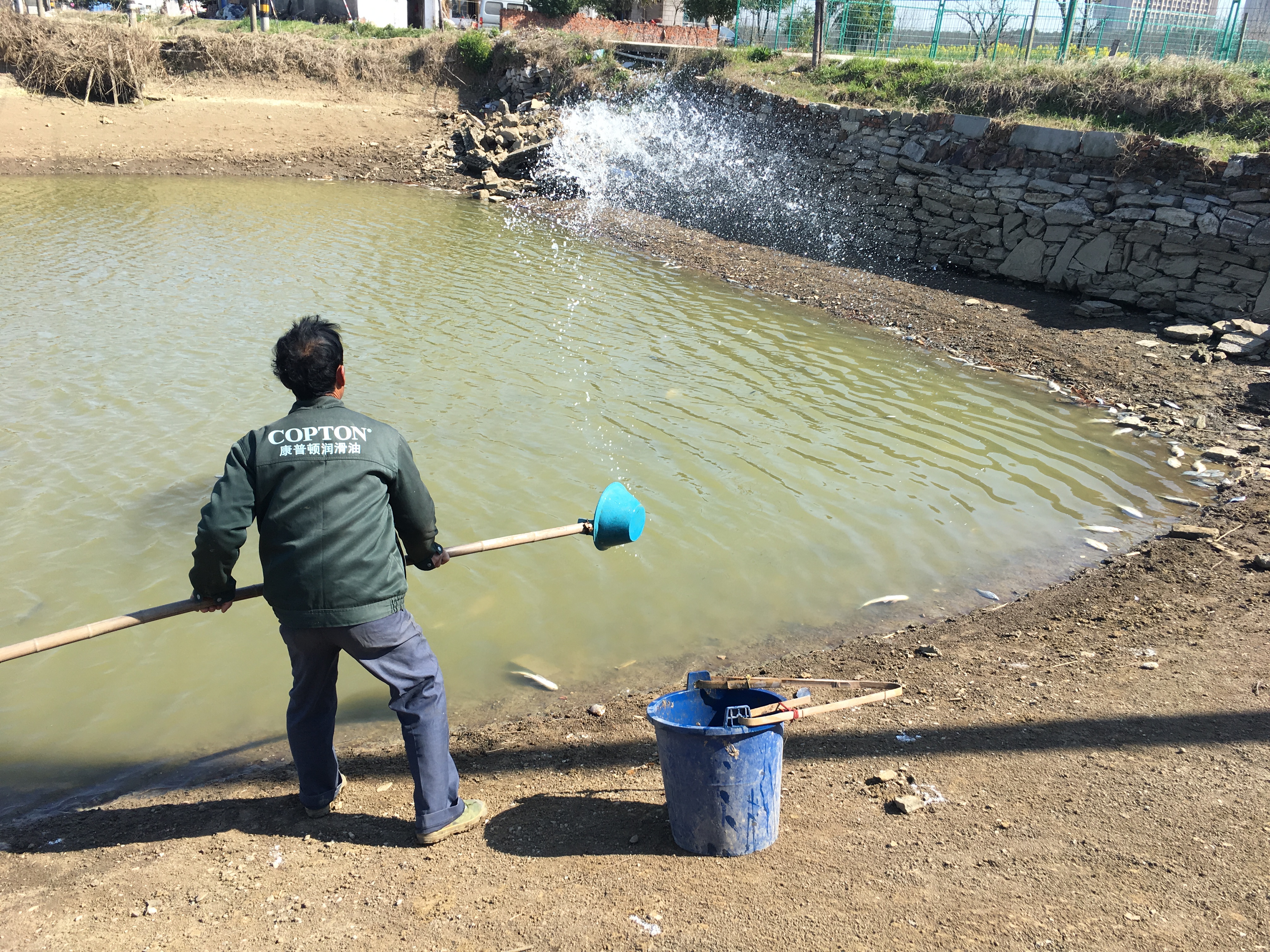 鱼药最佳给药时间