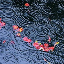 雨季对水体环境带来的影响及应对措施