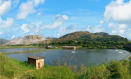 六种维生素在水产养殖中的妙用